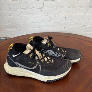 Nike Pegasus Trail Gore-Tex